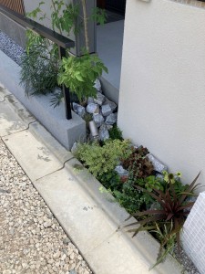 24-277　河本様邸完成 (1)